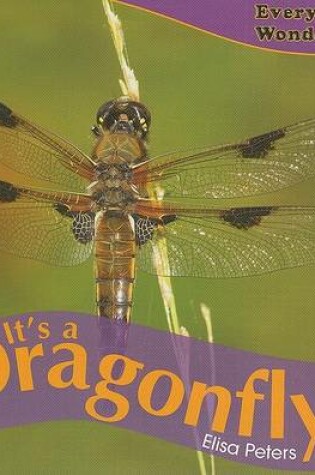 Cover of It's a Dragonfly!