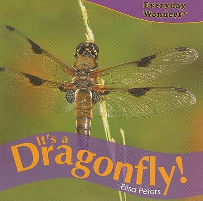 Cover of It's a Dragonfly!