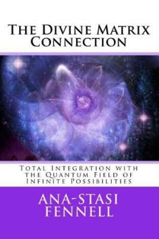 Cover of The Divine Matrix Connection