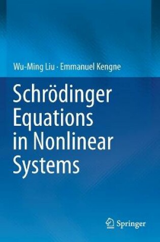 Cover of Schrödinger Equations in Nonlinear Systems