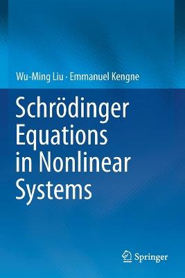 Book cover for Schrödinger Equations in Nonlinear Systems