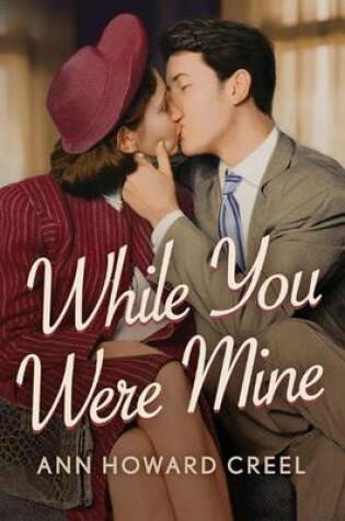 Cover of While You Were Mine