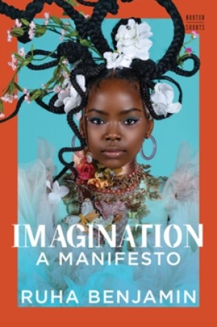 Cover of Imagination