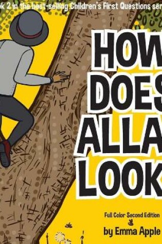 Cover of How Does Allah Look?