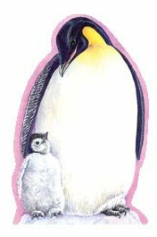 Cover of Penguins Notepad