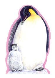 Book cover for Penguins Notepad