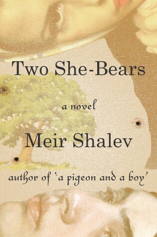 Cover of Two She-Bears