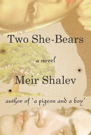 Book cover for Two She-Bears