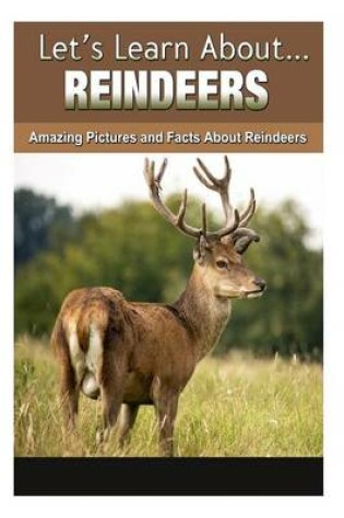 Cover of Reindeer