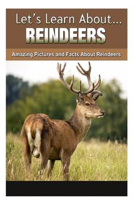 Book cover for Reindeer