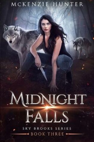 Cover of Midnight Falls