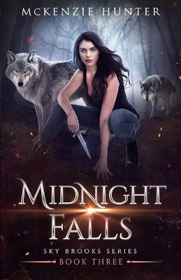 Book cover for Midnight Falls