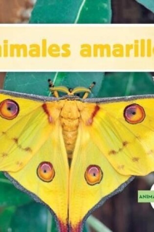 Cover of Animales Amarillos (Yellow Animals) (Spanish Version)