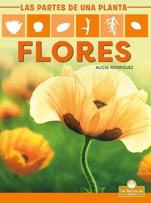 Book cover for Flores (Flowers)