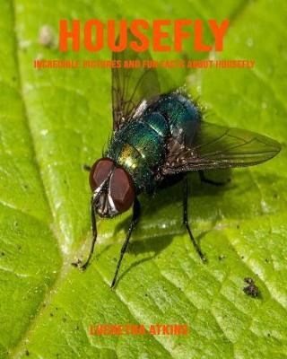 Book cover for Housefly