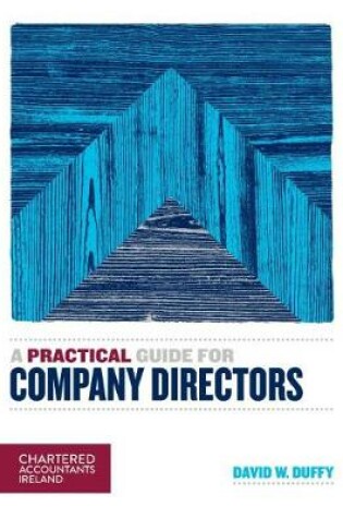 Cover of A Practical Guide for Company Directors