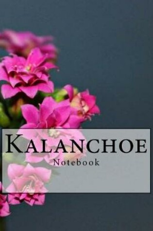 Cover of Kalanchoe Notebook