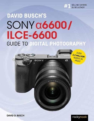 Book cover for David Busch’s Sony Alpha a6600/ILCE-6600 Guide to Digital Photography