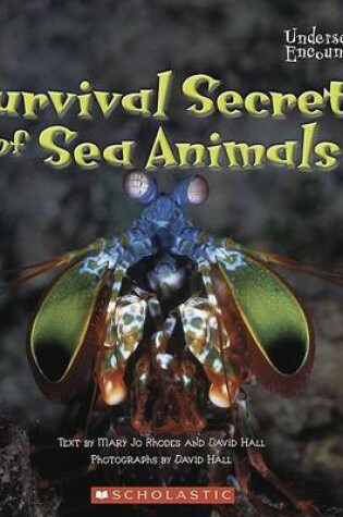 Cover of Survival Secrets of Sea Animals