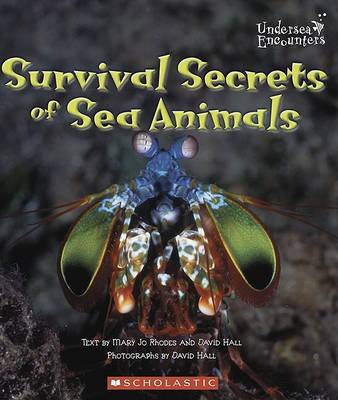 Cover of Survival Secrets of Sea Animals