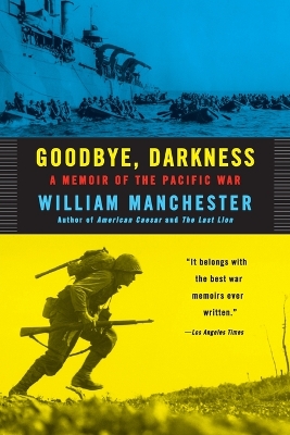 Book cover for Goodbye Darkness