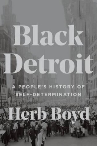 Cover of Black Detroit