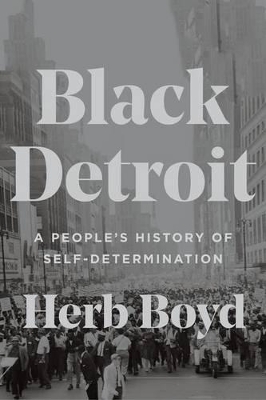 Book cover for Black Detroit