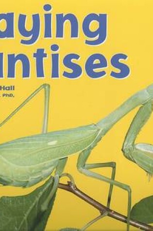 Cover of Praying Mantises