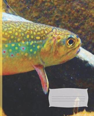 Cover of Fly Fishing Fisherman Stream Wild Brown Brook Trout College-Ruled Blank Line School Notebook