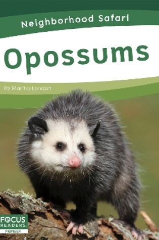 Cover of Neighborhood Safari: Opossums