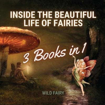 Book cover for Inside the Beautiful Life of Fairies