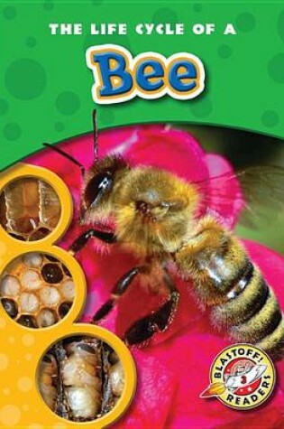 Cover of The Life Cycle of a Bee