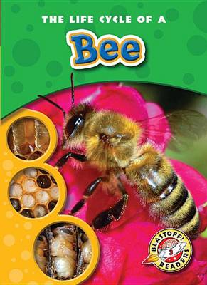 Cover of The Life Cycle of a Bee