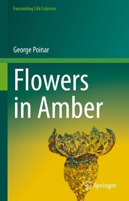 Book cover for Flowers in Amber