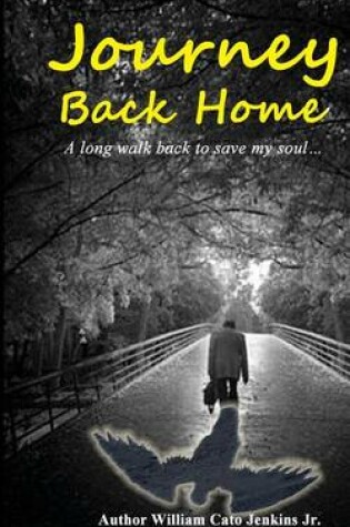 Cover of Journey Back Home