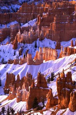 Book cover for Bryce Amphitheater and Hoodoos Bryce Canyon U S National Park in Utah