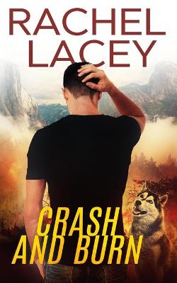 Book cover for Crash and Burn