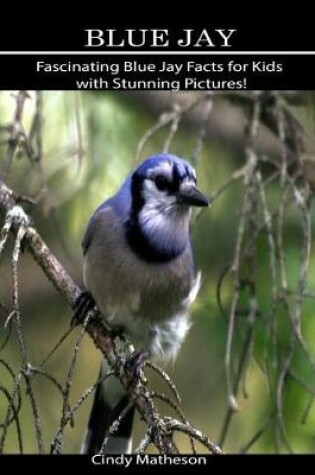 Cover of Blue Jay