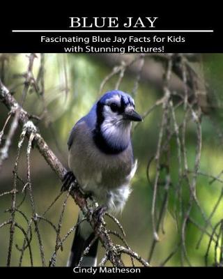 Book cover for Blue Jay