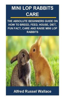 Book cover for Mini Lop Rabbits Care