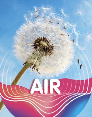 Book cover for Air