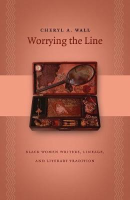 Book cover for Worrying the Line