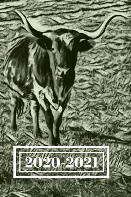 Book cover for Black & White Long Horn Steer Dated Calendar Planner 2 years To-Do Lists, Tasks, Notes Appointments