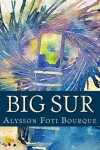 Book cover for Big Sur