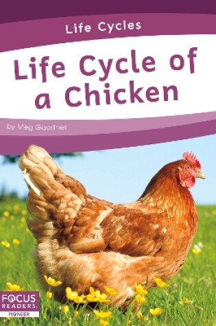 Cover of Life Cycle of a Chicken