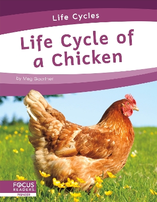 Book cover for Life Cycle of a Chicken