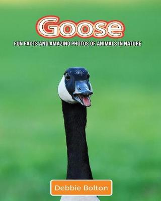 Book cover for Goose