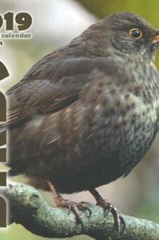 Cover of Birds 2019 Mini Wall Calendar (UK Edition)