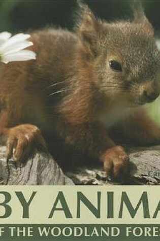 Cover of Baby Animals of the Woodland Forest