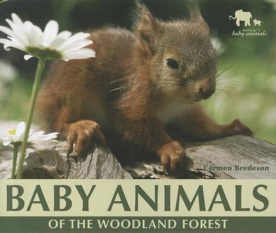 Book cover for Baby Animals of the Woodland Forest